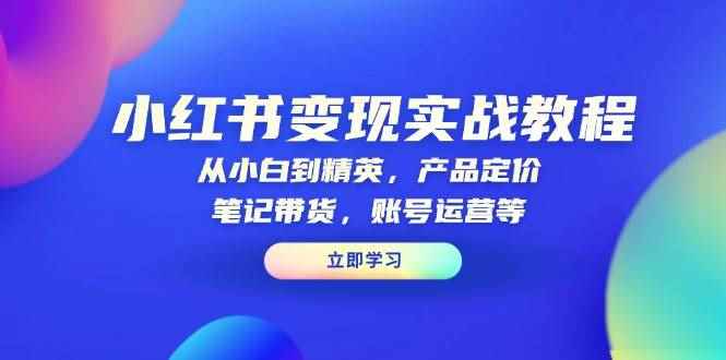 （13923期）小红书变现实战教程：从小白到精英，产品定价，笔记带货，账号运营等-咩咩网络