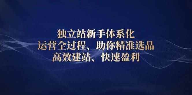 （13914期）独立站新手体系化 运营全过程，助你精准选品、高效建站、快速盈利-咩咩网络