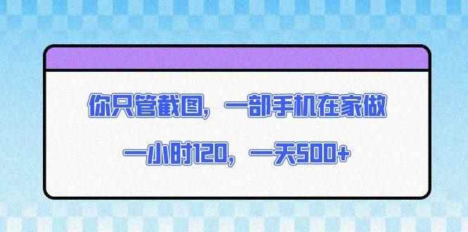（13785期）你只管截图，一部手机在家做，一小时120，一天500+-咩咩网络