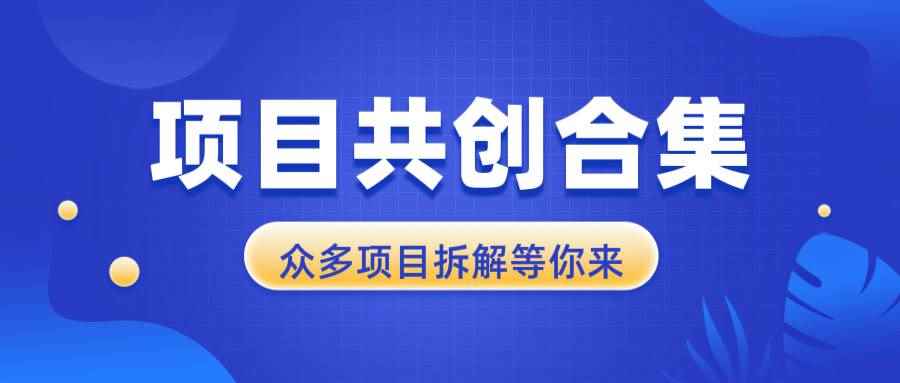（13778期）项目共创合集，从0-1全过程拆解，让你迅速找到适合自已的项目-咩咩网络