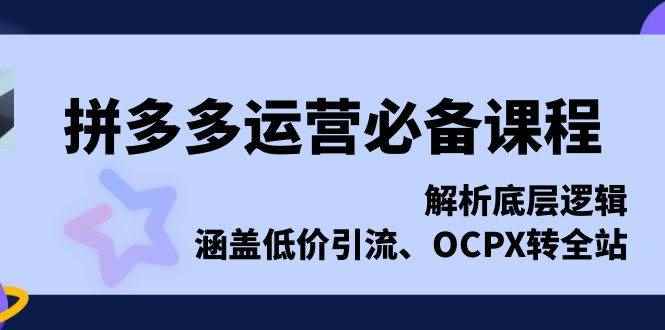 （13700期）拼多多运营必备课程，解析底层逻辑，涵盖低价引流、OCPX转全站-咩咩网络