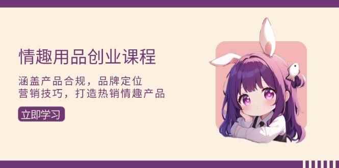 （13682期）情趣用品创业课程：涵盖产品合规，品牌定位，营销技巧，打造热销情趣产品-咩咩网络