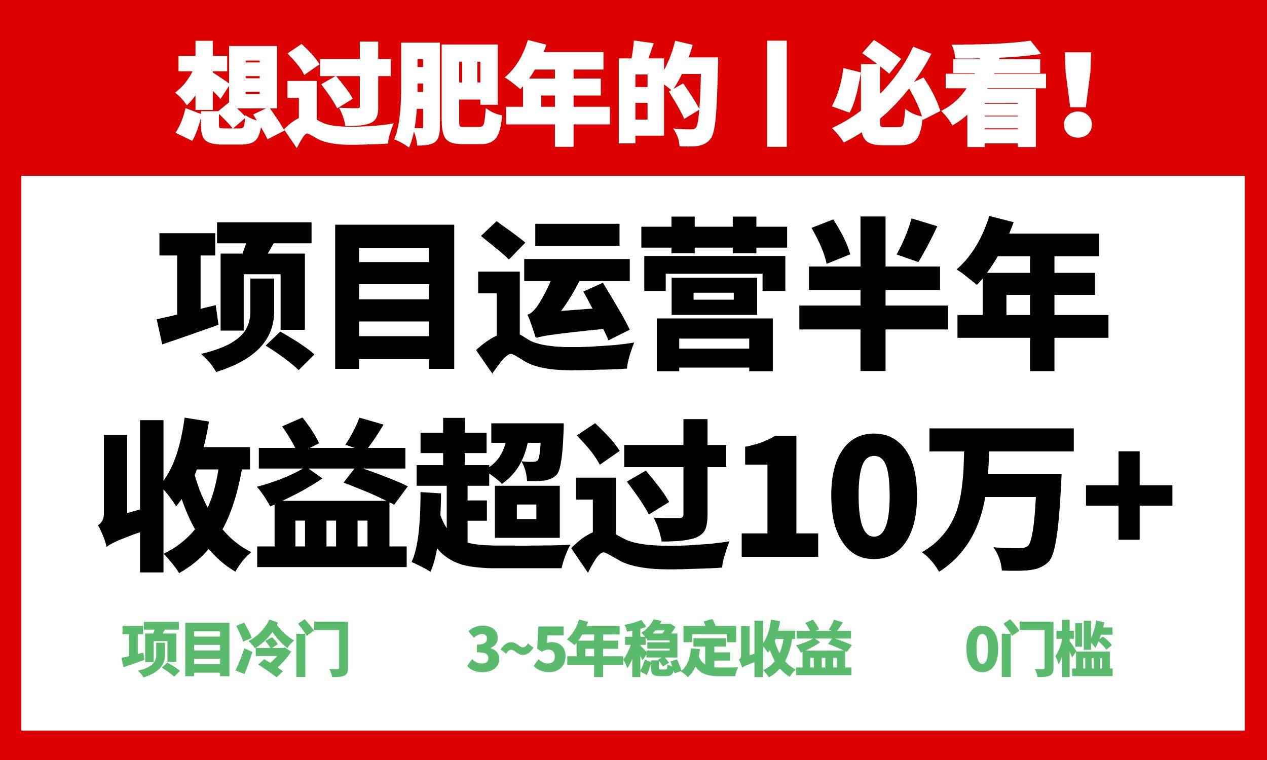 （13663期）年前过肥年的必看的超冷门项目，半年收益超过10万+，-咩咩网络