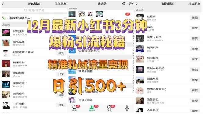 （13653期）12月最新小红书3分钟爆粉引流秘籍 精准私域流量变现 日引500+-咩咩网络