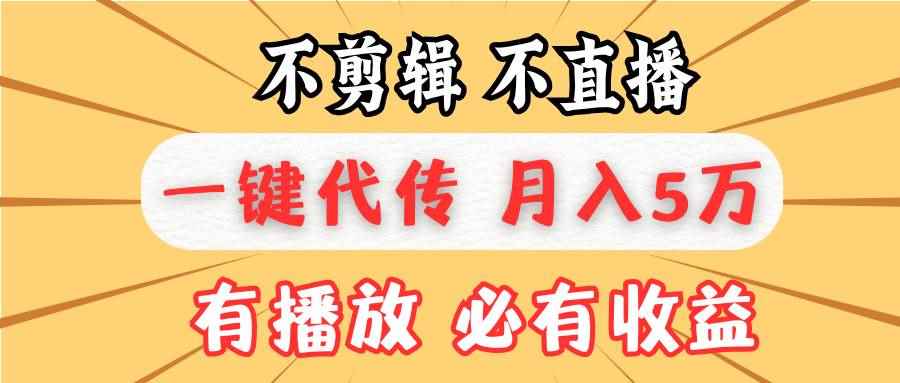 （13555期）不剪辑不直播，一键代发，月入5万懒人必备，我出视频你来发-咩咩网络