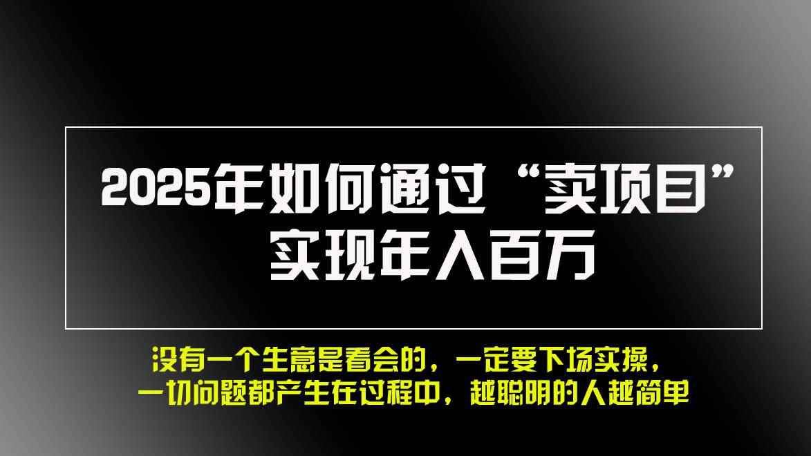 （13468期）2025年如何通过“卖项目”实现年入百万，做网赚必看！！-咩咩网络