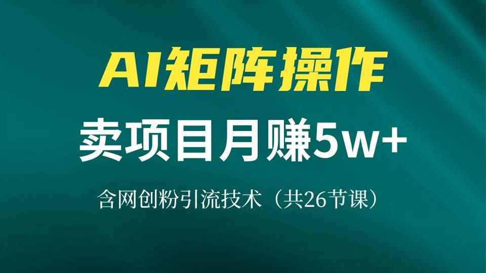 （13335期）网创IP打造课，借助AI卖项目月赚5万+，含引流技术（共26节课）-咩咩网络