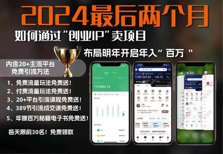 （13322期）2024最后两个月如何通过”创业IP“卖项目年入”百万“,创业IP+最强引流…-咩咩网络