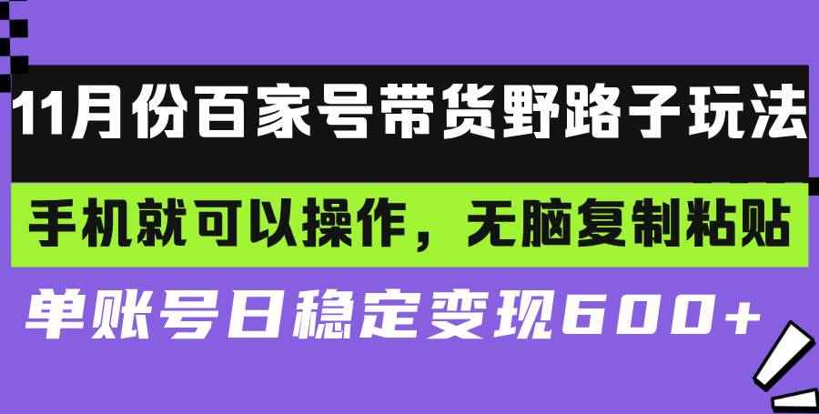 （13281期）百家号带货野路子玩法 手机就可以操作，无脑复制粘贴 单账号日稳定变现…-咩咩网络