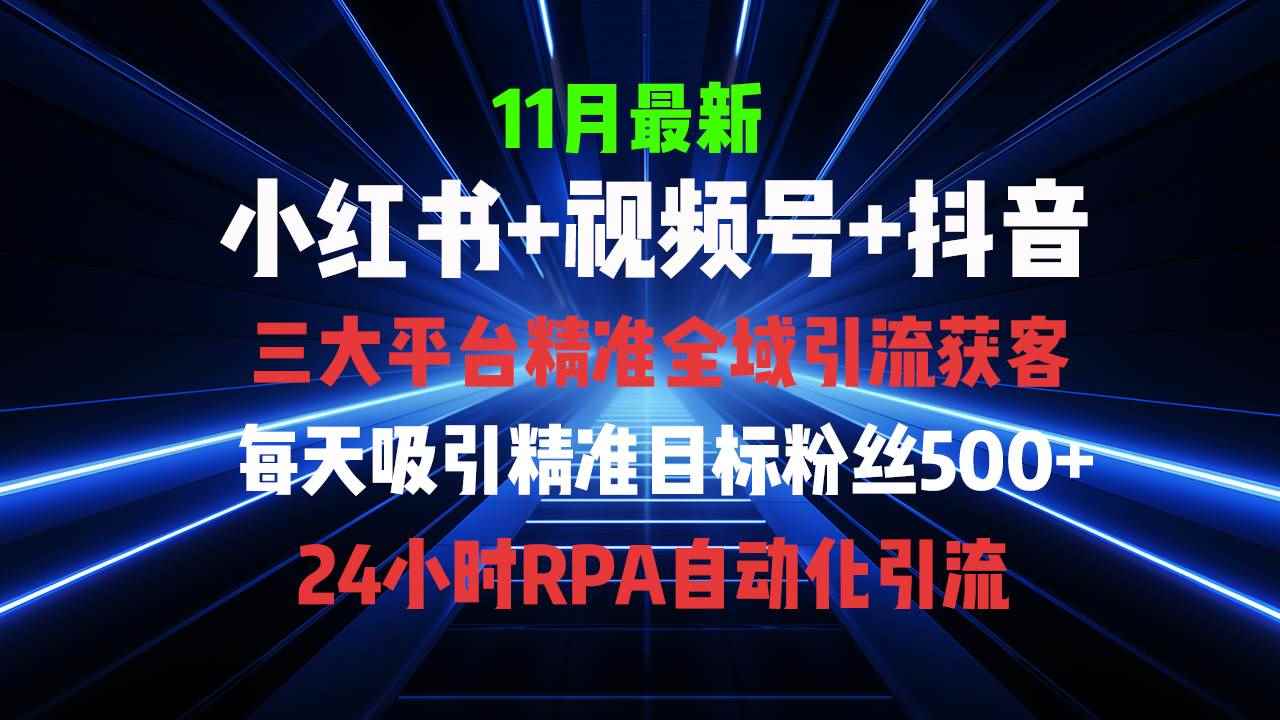 （13259期）全域多平台引流私域打法，小红书，视频号，抖音全自动获客，截流自…-咩咩网络