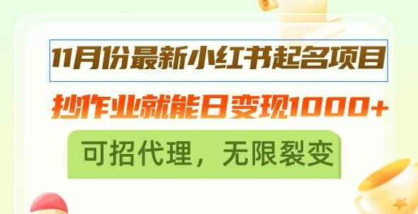 （13256期）11月份最新小红书起名项目，抄作业就能日变现1000+，可招代理，无限裂变-咩咩网络