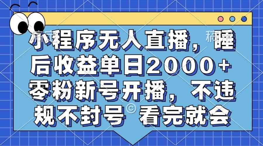 （13251期）小程序无人直播，睡后收益单日2000+ 零粉新号开播，不违规不封号 看完就会-咩咩网络