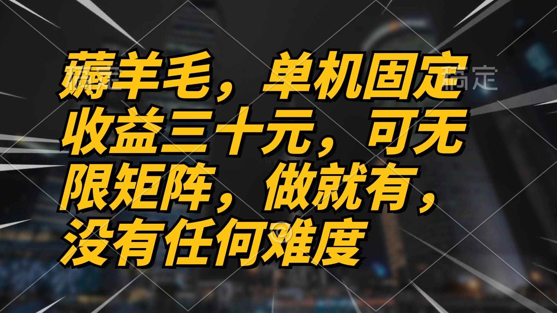 （13162期）薅羊毛项目，单机三十元，做就有，可无限矩阵 无任何难度-咩咩网络