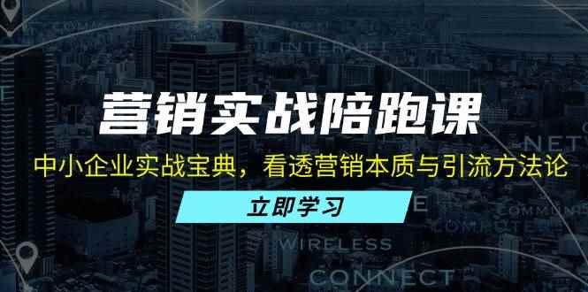 （13146期）营销实战陪跑课：中小企业实战宝典，看透营销本质与引流方法论-咩咩网络