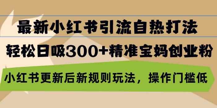 （13145期）最新小红书引流自热打法，轻松日吸300+精准宝妈创业粉，小红书更新后新…-咩咩网络