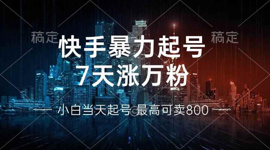 （13142期）快手暴力起号，7天涨万粉，小白当天起号 多种变现方式，账号回收，单月…-咩咩网络