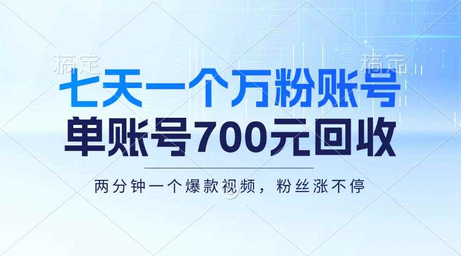 （13062期）七天一个万粉账号，新手小白秒上手，单账号回收700元，轻松月入三万＋-咩咩网络