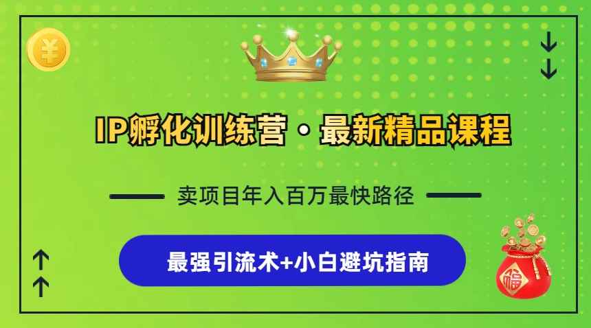 （13055期）IP孵化训练营，知识付费全流程+最强引流术+小白避坑指南-咩咩网络