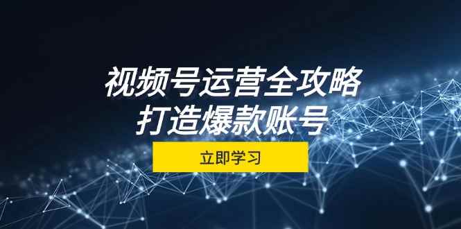 （12912期）视频号运营全攻略，从定位到成交一站式学习，视频号核心秘诀，打造爆款…-咩咩网络