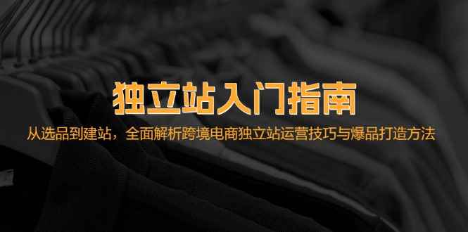 （12882期）独立站入门指南：从选品到建站，全面解析跨境电商独立站运营技巧与爆品…-咩咩网络