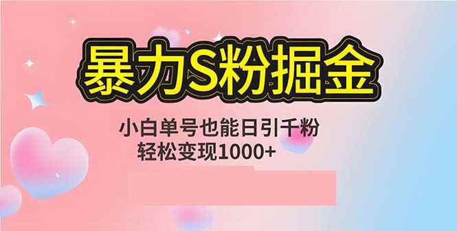 （12778期）单人单机日引千粉，变现1000+，S粉流量掘金计划攻略-咩咩网络