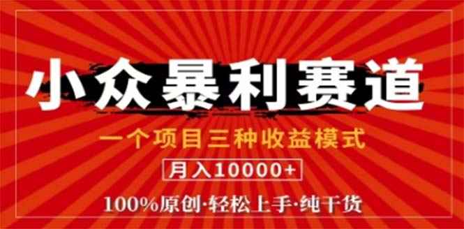 （12756期）视频号最新爆火赛道，三种可收益模式，0粉新号条条原创条条热门 日入1000+-咩咩网络