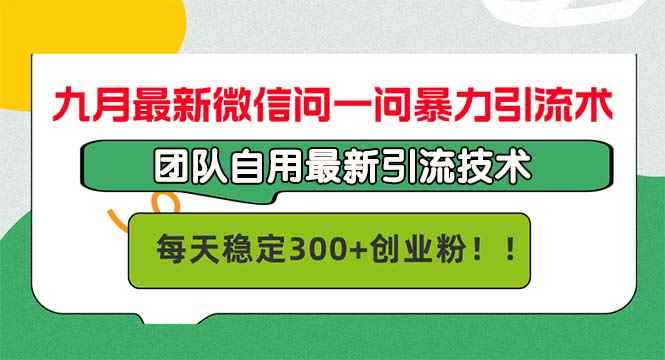 （12735期）九月最新微信问一问暴力引流术，团队自用引流术，每天稳定300+创…-咩咩网络