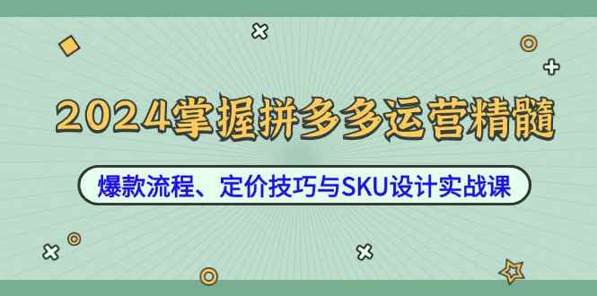 （12703期）2024掌握拼多多运营精髓：爆款流程、定价技巧与SKU设计实战课-咩咩网络