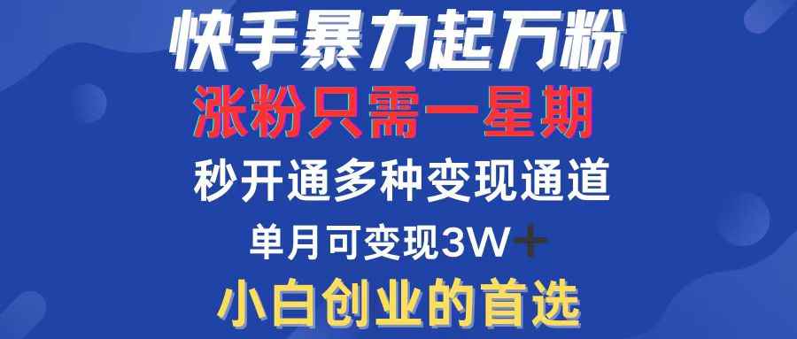 （12651期）快手暴力起万粉，涨粉只需一星期，多种变现模式，直接秒开万合，小白创…-咩咩网络