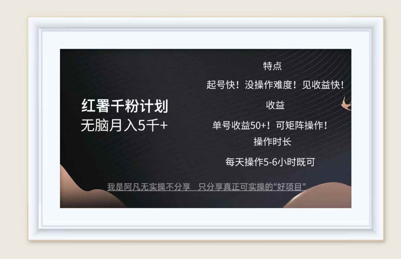 （12560期）红薯千粉计划无脑月入5千+！既做既赚！-咩咩网络