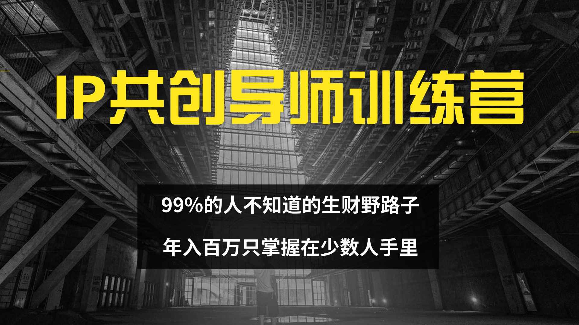 （12504期）IP共创导师训练营 99%的人不知道的生财野路子 只掌握在少数人手里-咩咩网络