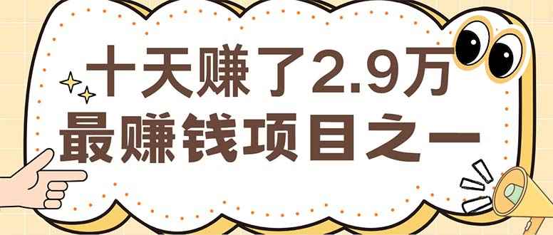 （12491期）闲鱼小红书赚钱项目之一，轻松月入6万+项目-咩咩网络