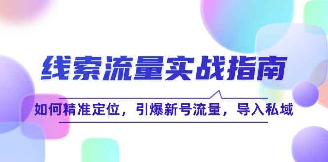（12382期）线 索 流 量-实战指南：如何精准定位，引爆新号流量，导入私域-咩咩网络