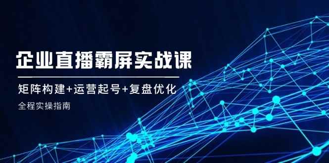 （12338期）企 业 直 播 霸 屏实战课：矩阵构建+运营起号+复盘优化，全程实操指南-咩咩网络