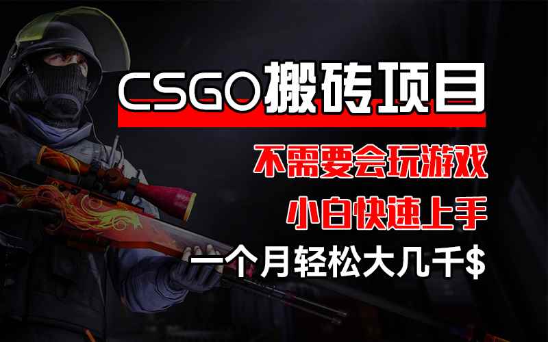 （12332期）CSGO 装备搬砖项目，操作简单，不需要会玩游戏，小白也能快速上手，一…-咩咩网络