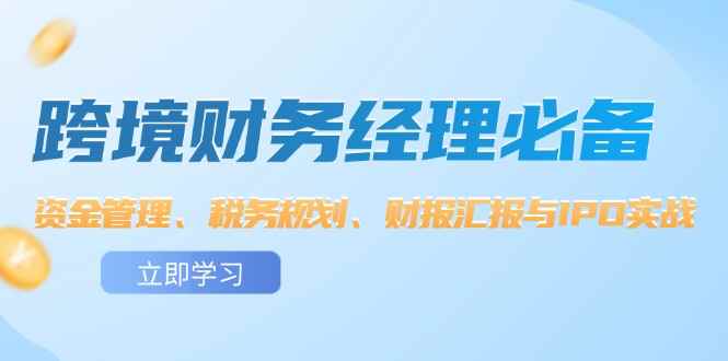（12323期）跨境 财务经理必备：资金管理、税务规划、财报汇报与IPO实战-咩咩网络