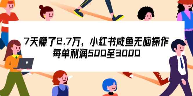 （12192期）7天收了2.7万，小红书咸鱼无脑操作，每单利润500至3000-咩咩网络