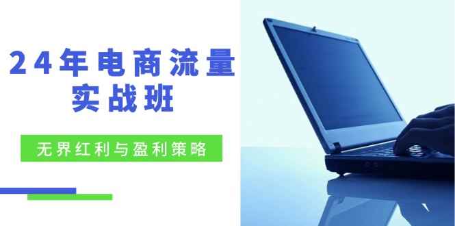 （12168期）24年电商流量实战班：无界 红利与盈利策略，终极提升/关键词优化/精准…-咩咩网络