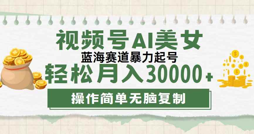 （12087期）视频号AI美女跳舞，轻松月入30000+，蓝海赛道，流量池巨大，起号猛，无…-咩咩网络