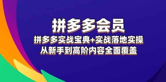 （12056期）拼多多 会员，拼多多实战宝典+实战落地实操，从新手到高阶内容全面覆盖-咩咩网络
