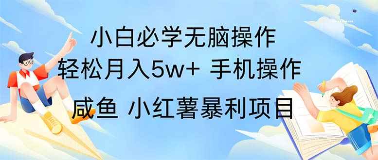 （11953期）2024热门暴利手机操作项目，简单无脑操作，每单利润最少500-咩咩网络