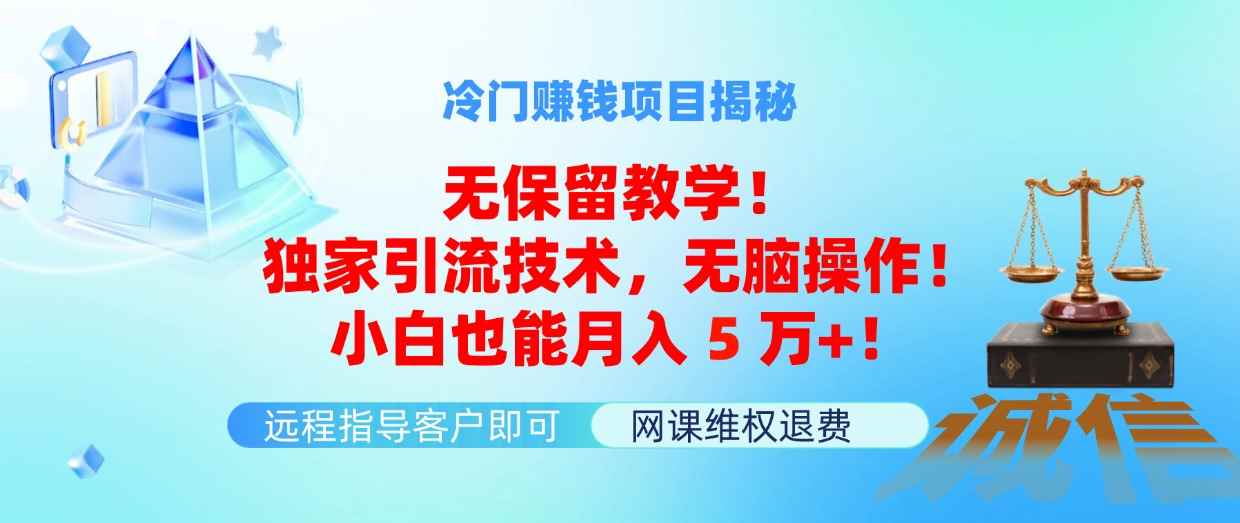（11864期）冷门赚钱项目无保留教学！独家引流技术，无脑操作！小白也能月入5万+！-咩咩网络