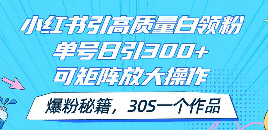 （11692期）小红书引高质量白领粉，单号日引300+，可放大操作，爆粉秘籍！30s一个作品-咩咩网络