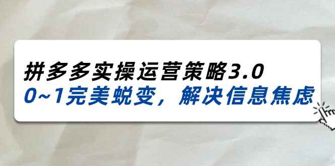 （11658期）2024_2025拼多多实操运营策略3.0，0~1完美蜕变，解决信息焦虑（38节）-咩咩网络