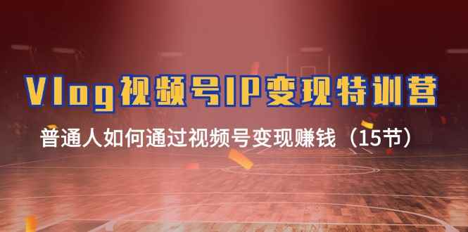 （11654期）Vlog 视频号IP变现特训营，普通人如何通过视频号变现赚钱（15节）-咩咩网络
