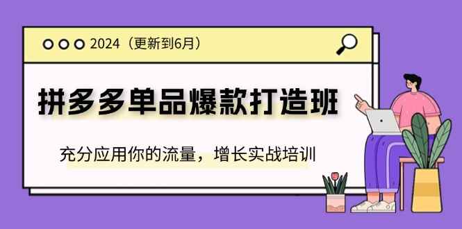 （11556期）2024拼多多-单品爆款打造班(更新6月)，充分应用你的流量，增长实战培训-咩咩网络