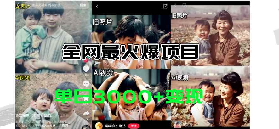 （11546期）全网爆火的AI让老照片动起来教程，蹭热点日赚3000+，内含免费工具一键…-咩咩网络