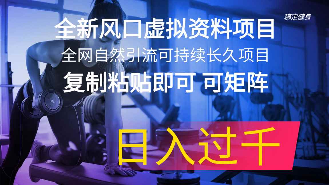 （11587期）全新风口虚拟资料项目 全网自然引流可持续长久项目 复制粘贴即可可矩阵…-咩咩网络