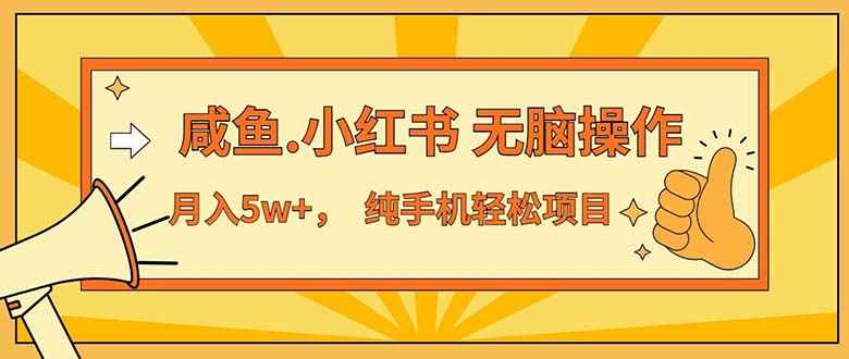 （11524期）2024最赚钱的项目，咸鱼，小红书无脑操作，每单利润500+，轻松月入5万+…-咩咩网络