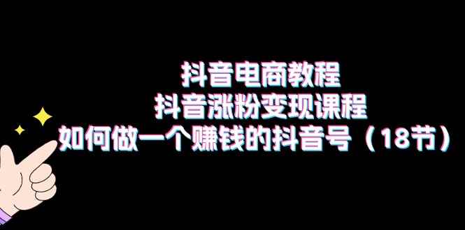 （11436期）抖音电商教程：抖音涨粉变现课程：如何做一个赚钱的抖音号（18节）-咩咩网络
